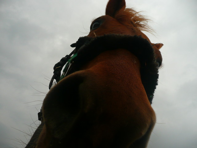 Rudaaa
