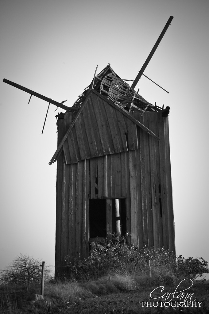 Wiatraczek...