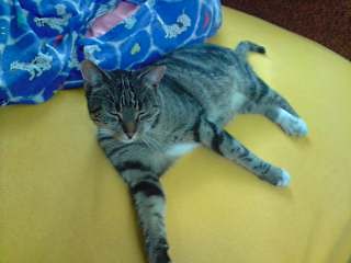 KiCiA :):):)