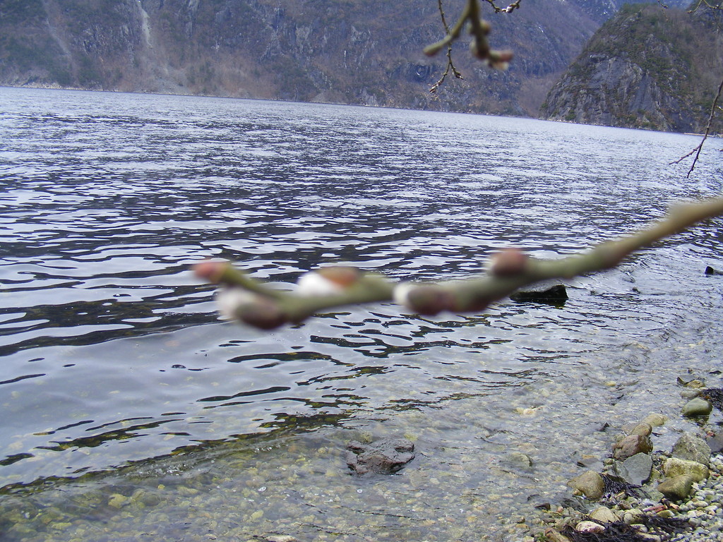 21.03.2010 DIRDAL