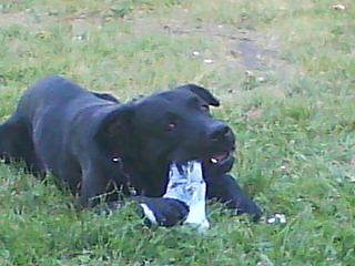 Misiu :))