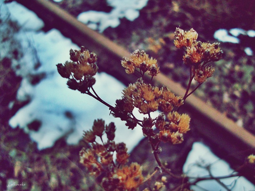 Sucho. 