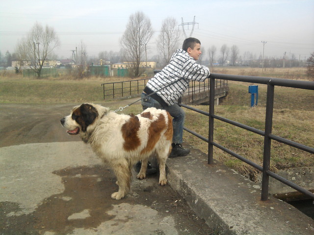 skrzynia