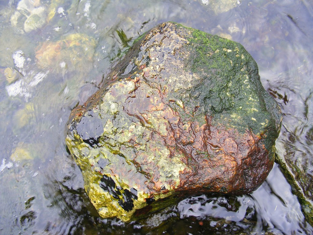 21.03.2010 DIRDAL