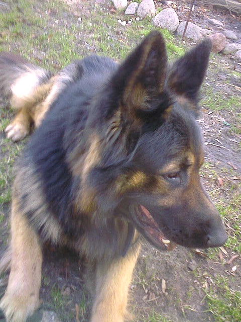  Ares