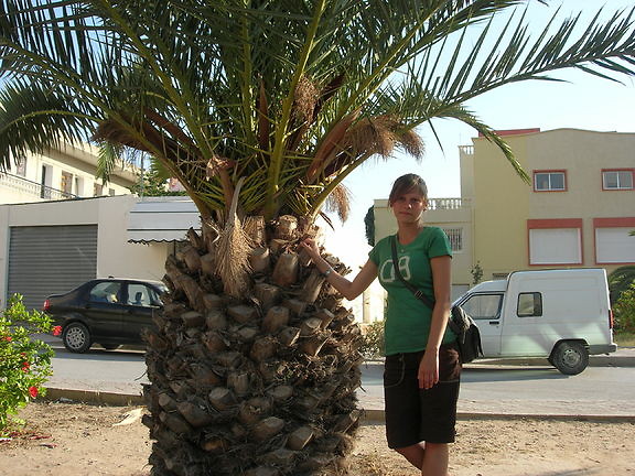 Palma.