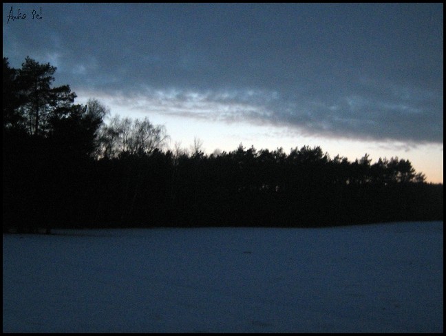  the dark