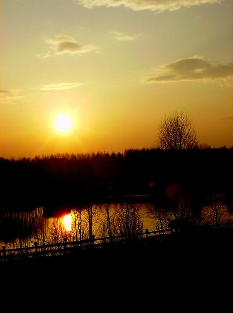 25.03 
