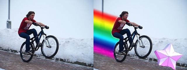 Manius unicorn