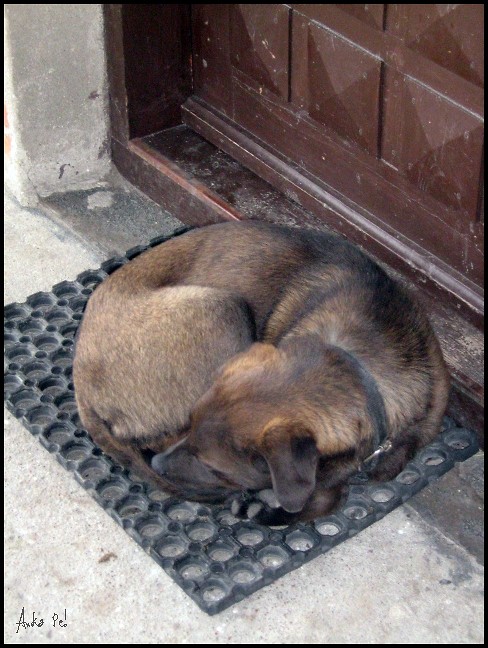  sleep my darling
