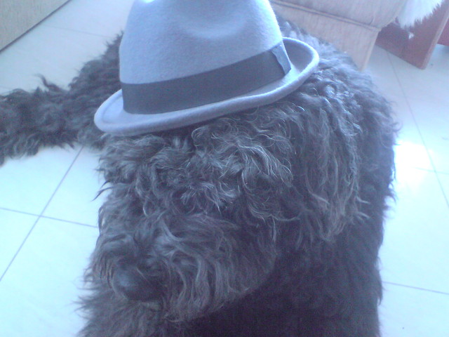 Baronekk Jacksonatorekk... :*