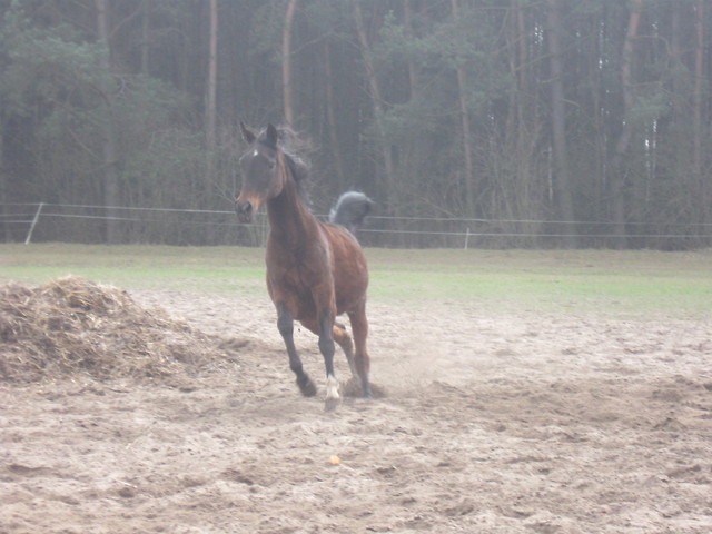 Faszynka oo:)