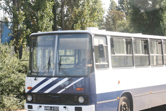 auto.....bus.....autobus.....