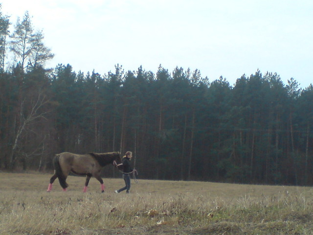 przeprowadzka .