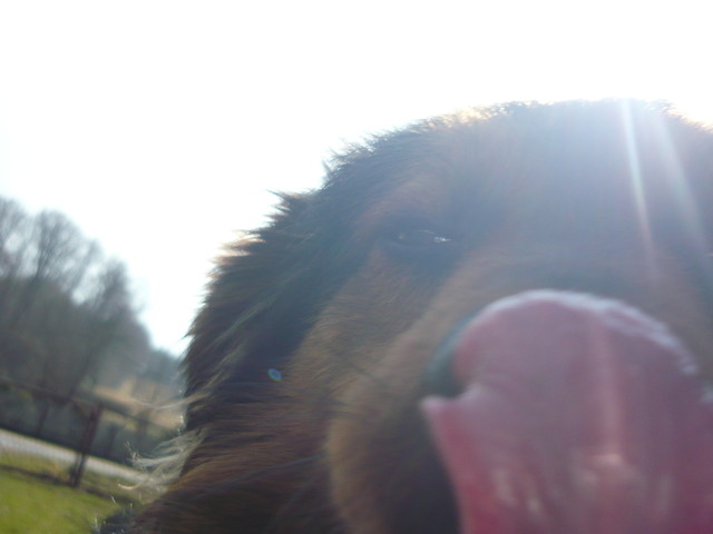 Haha. ;D