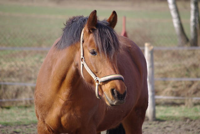 ^^Alicja^^