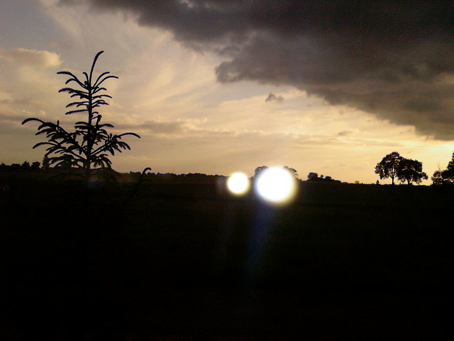Z oknaa;)