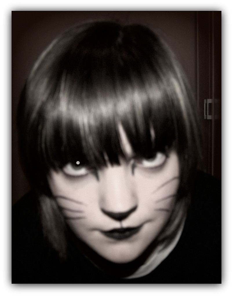 Mrrrrau =(^-^)=