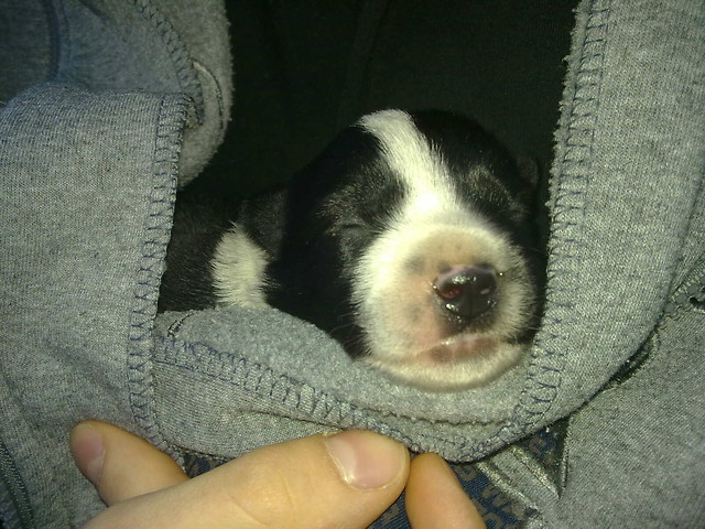 Cudeko malutkie!