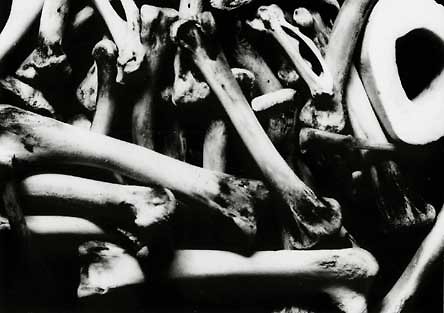 Auschwitz.
