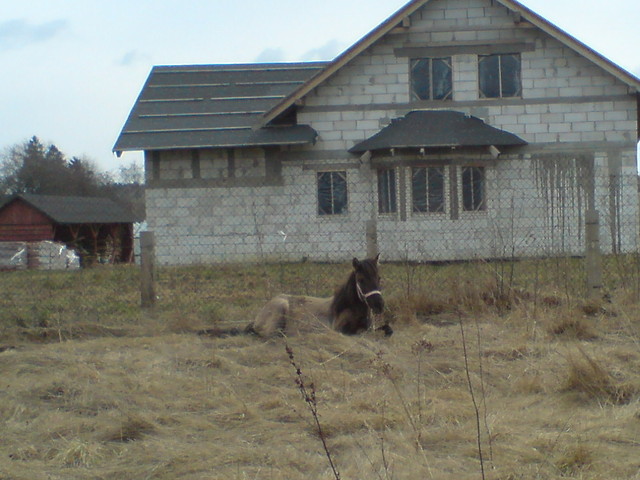 Opalanko .