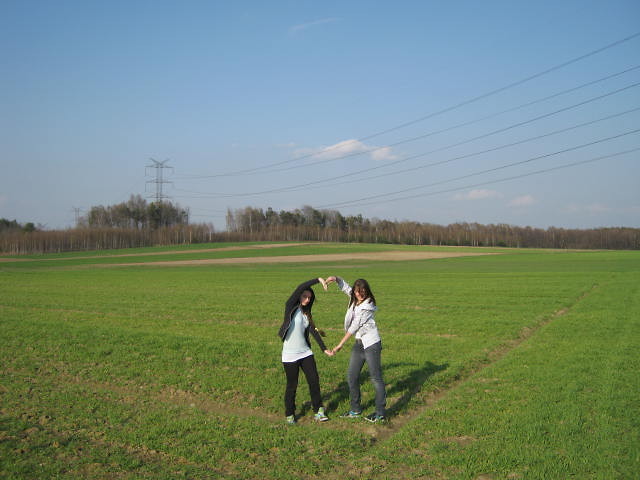 gdzie w polach . X D