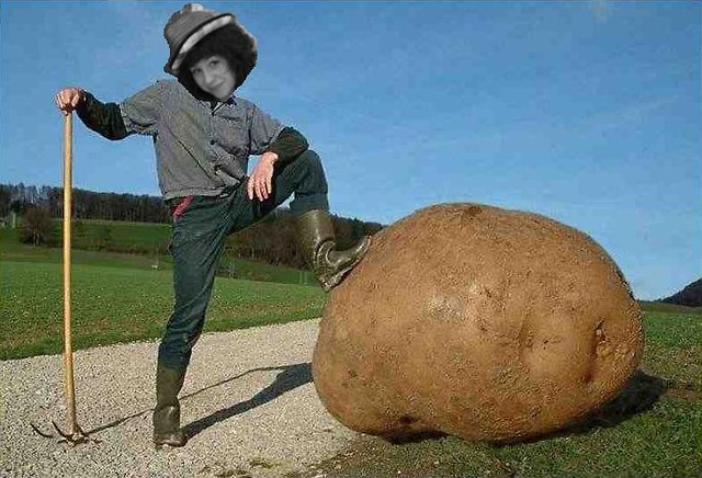 big patata
