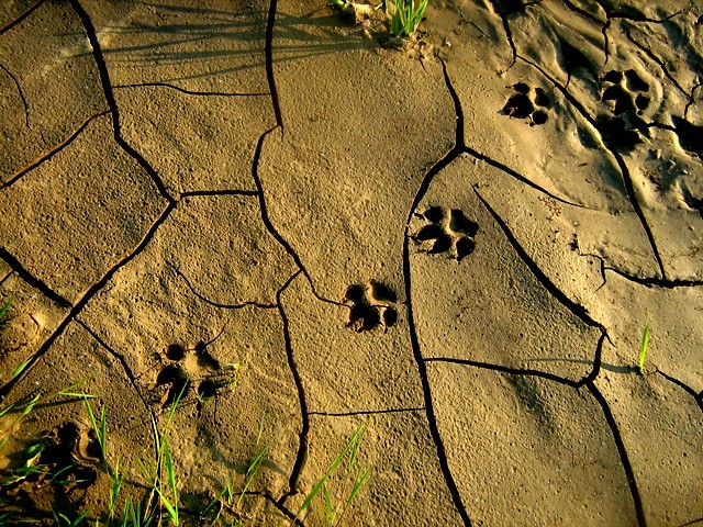 # 366.
