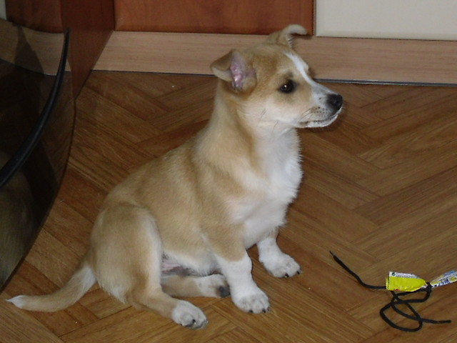 Nuki ; )