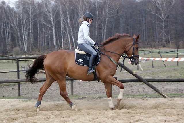 galopiren.