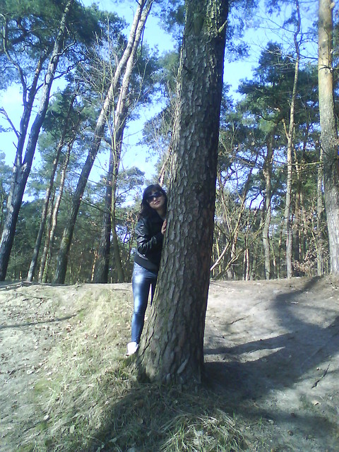 Drzewko
