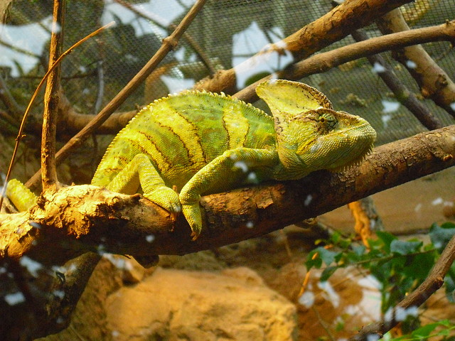 fotka z ZOO