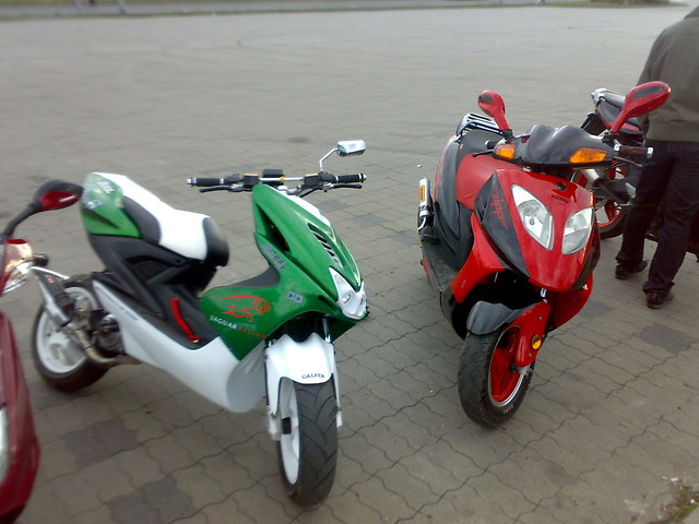 Zlot