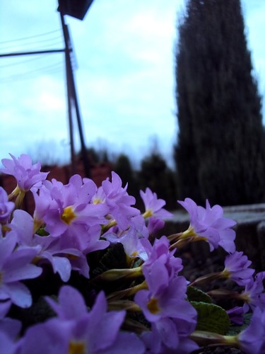 SPRING! < 3