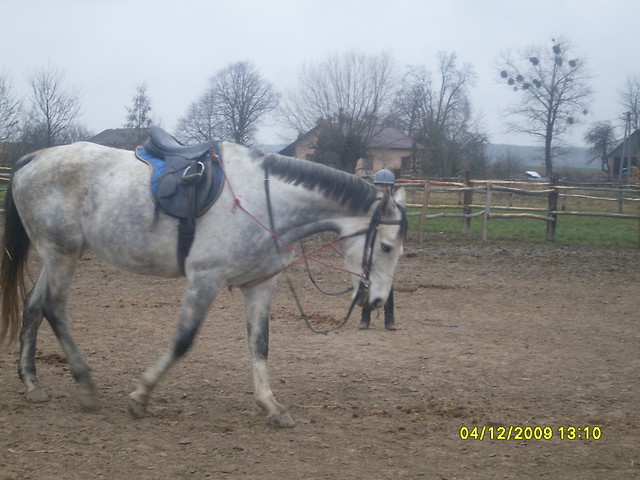 Balena