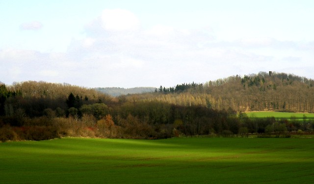 wieyczka