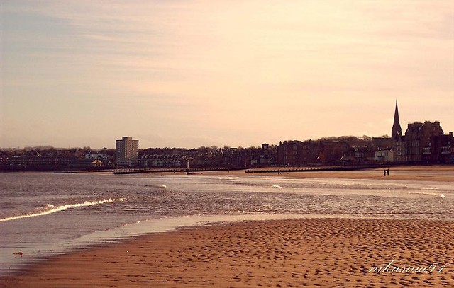 Portobello