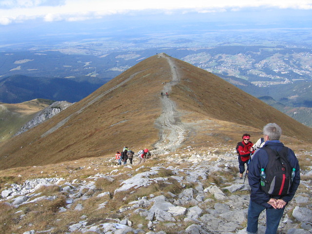 Ciemniak.