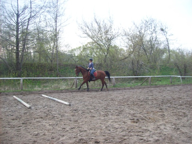 Galop. ;)