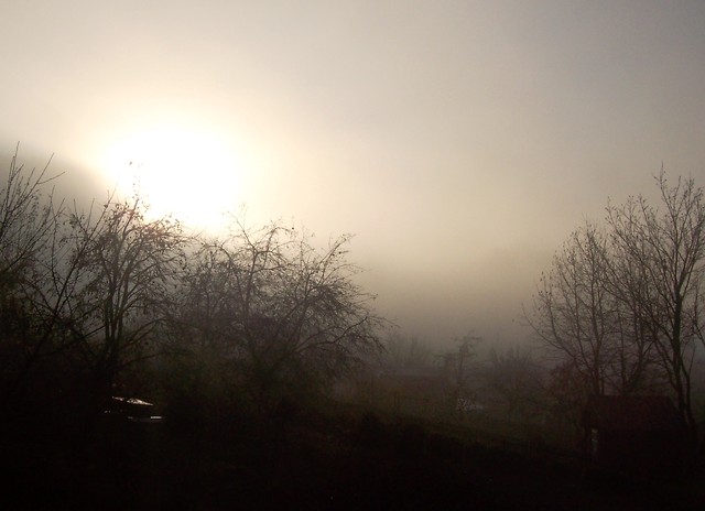 Good morning :)