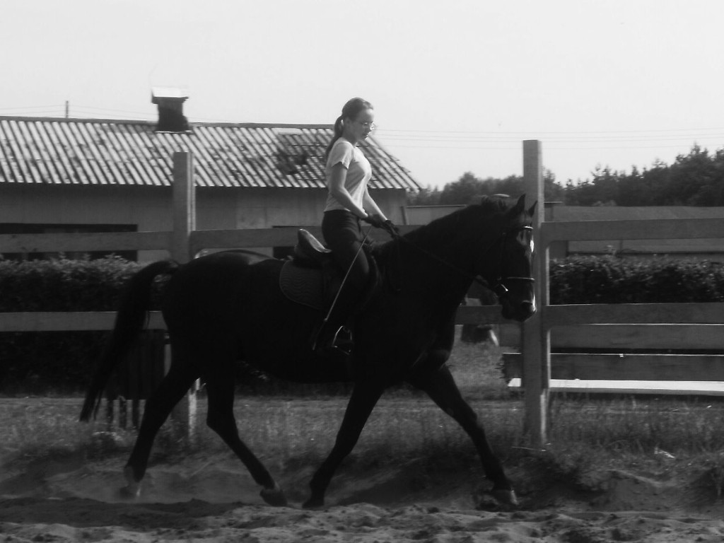 15.04.2010r.