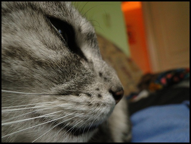 Cicia ; )