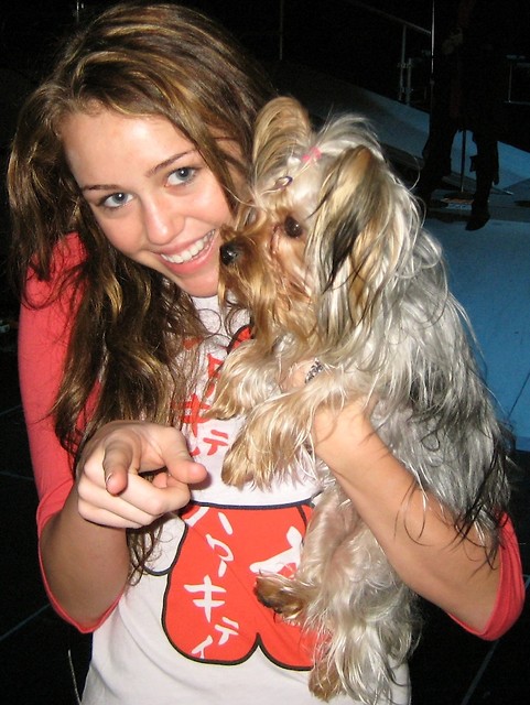 Miley Cyrus z psem