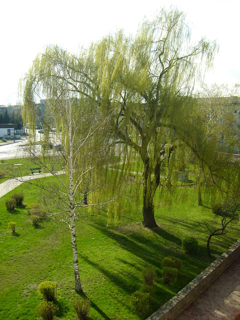 Skwer przed UAM WPA
