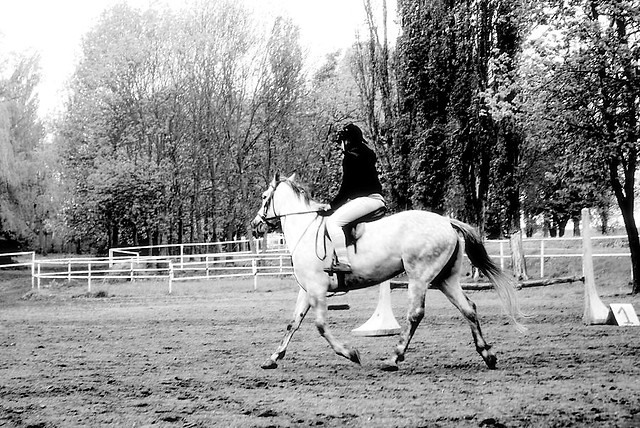 Wspomienia-Dziaowo 2009r