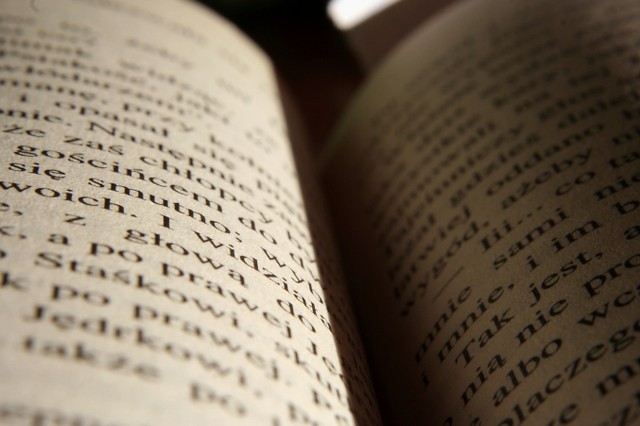 The guide book