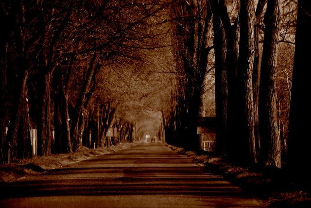 Road