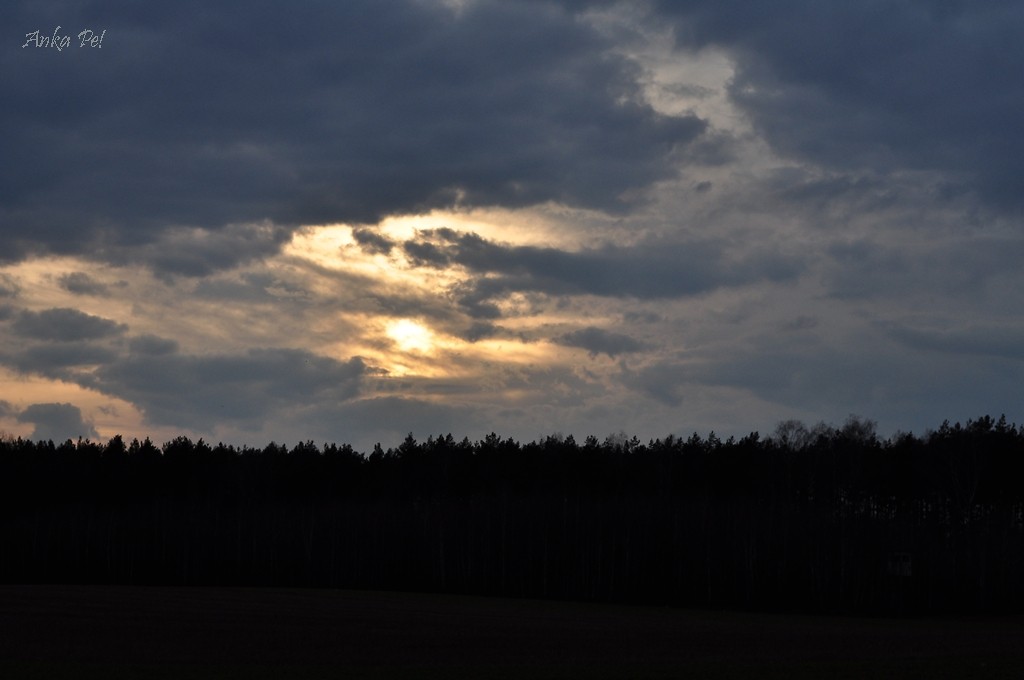  w nieprzespan noc