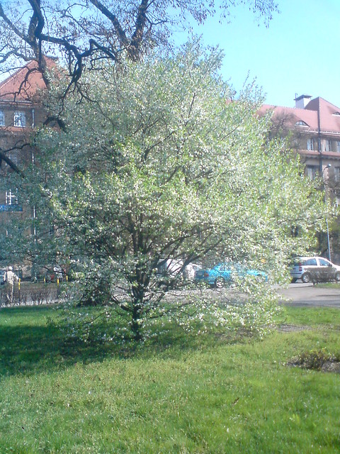 W poszukiwaniu WIOSNY...