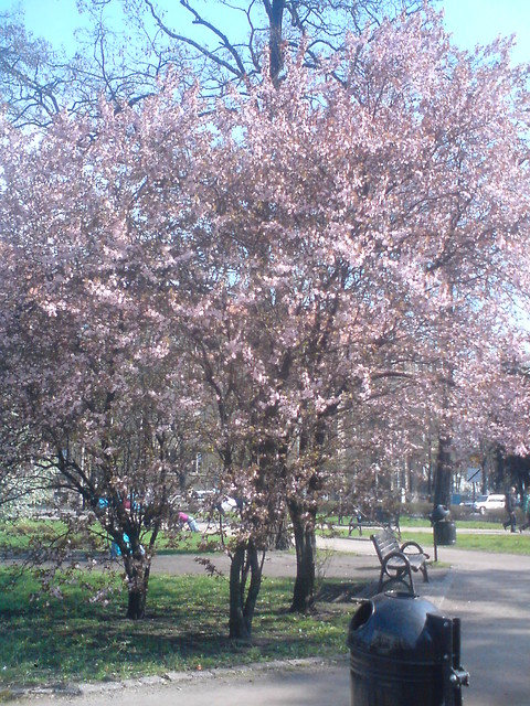 W poszukiwaniu WIOSNY...